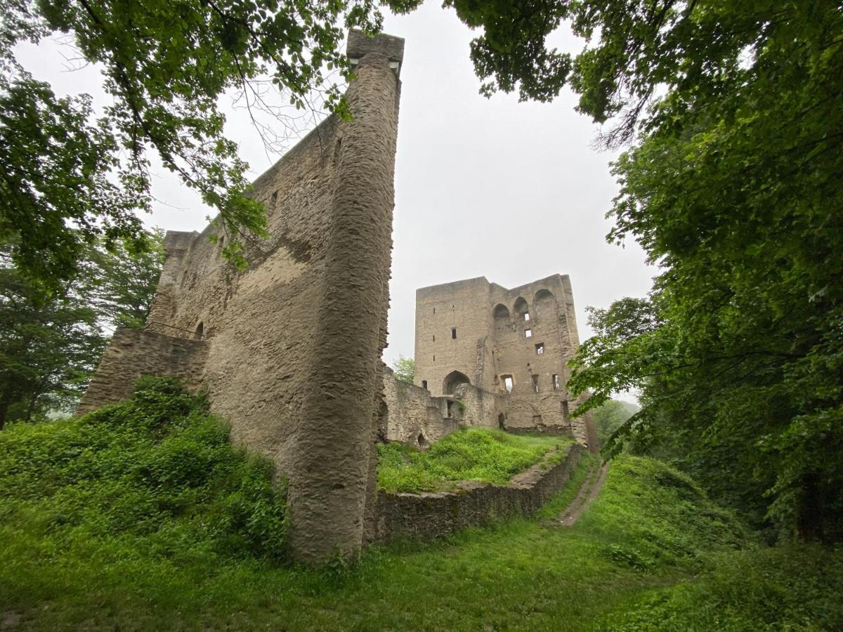 Neu!!! Netflix!!! Schöne Ferienwohnungen im grünen mit Top Ausstattung - nur 15 min bis Koblenz Eitelborn Exterior foto